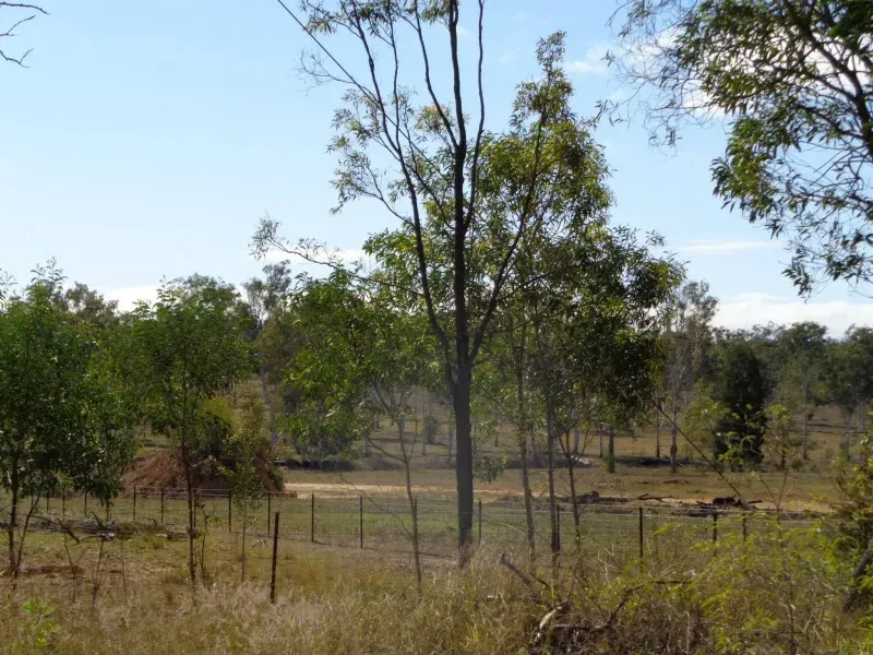 10687513 10153027361633354 5265635334832537005 o