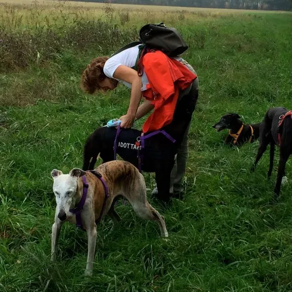 10688091 583214788471601 5658384514956656277 o