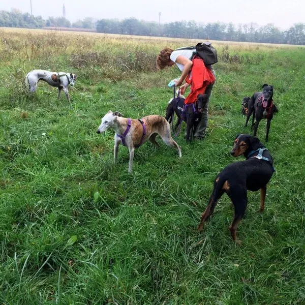 10688288 583209098472170 4416295769110710161 o