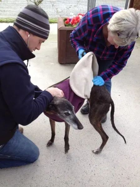 10689507 1602608259967155 10401651302811682 n