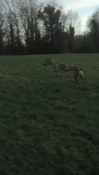 10689522 10204673572052773 9043764076492164567 n