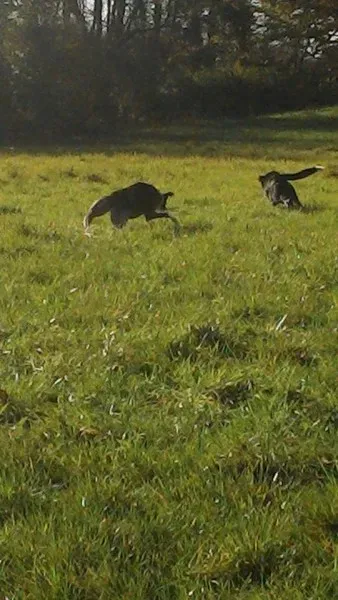 10689554 10204258114866603 3692164328032205301 n