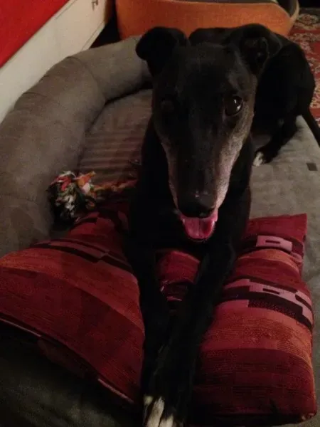 10689669 861732563844799 8958344696837642391 n