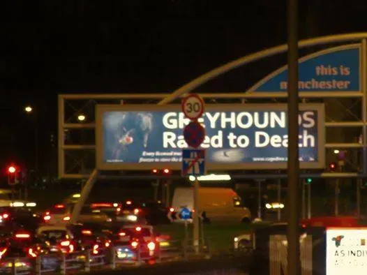 10689799 722678197840318 3000428643448836729 n