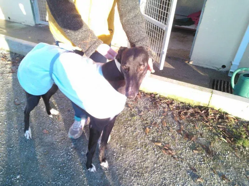 10689878 735161913234333 3774693780888906237 n