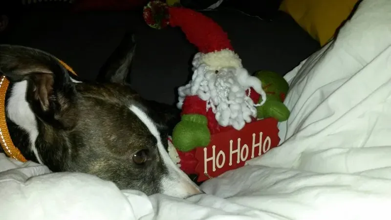 1069205 10208346192357046 5250592285761100341 n