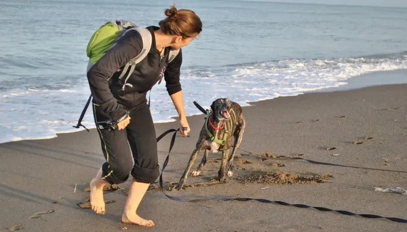 10694265 10204136580646104 4253285220268562879 o