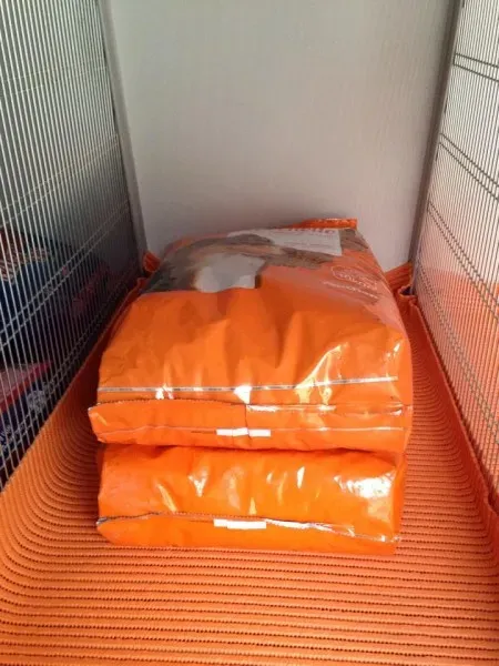 10694882 853528657998523 952545474 n