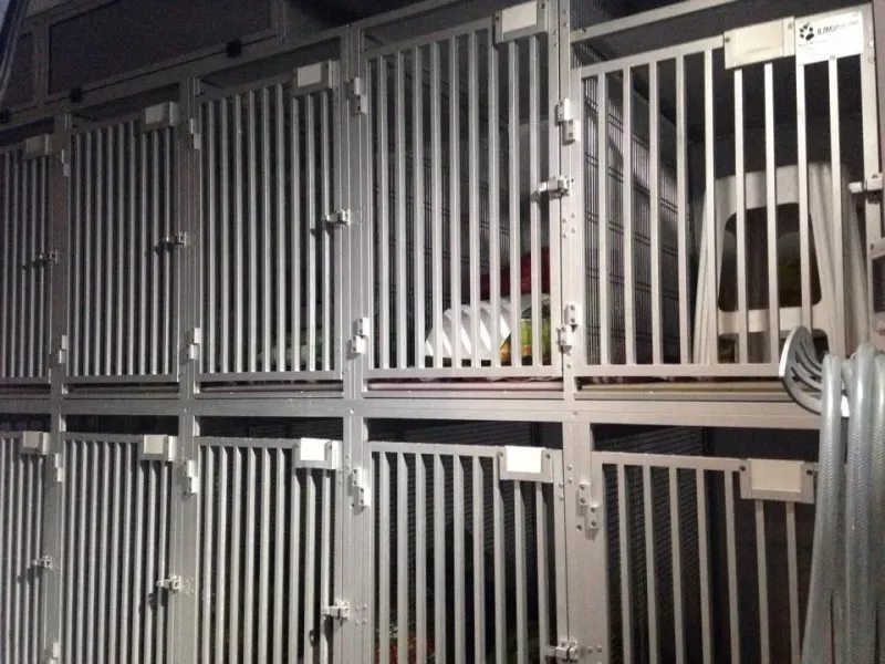 10695315 855938374424218 1225468523 n