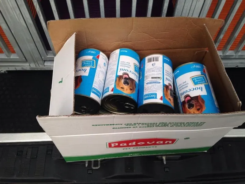 10695317 853528467998542 1309548242 n