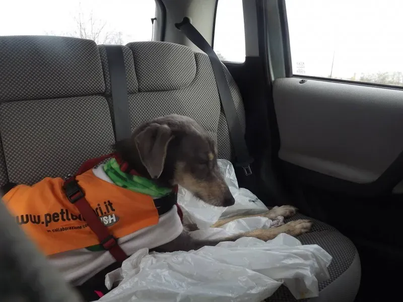 10697173 10204373372127060 7429068439216846614 o