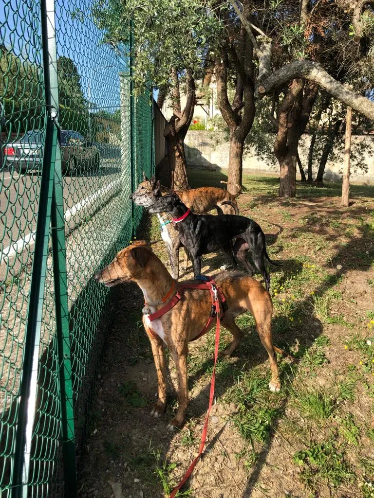 106ce3de c91b 4fa8 abb2 613db35af495