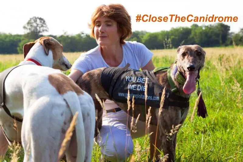 1070023 10201727172689798 577284291 n