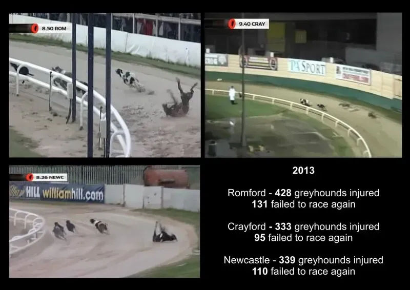 10700693 770372983015869 699141415351858535 o