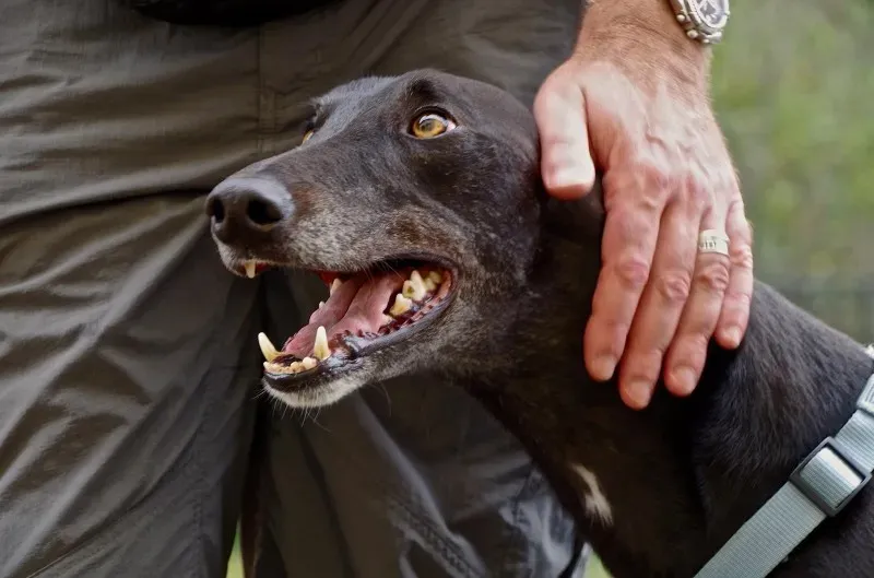 10700775 10201637237012034 4648129596987948280 o