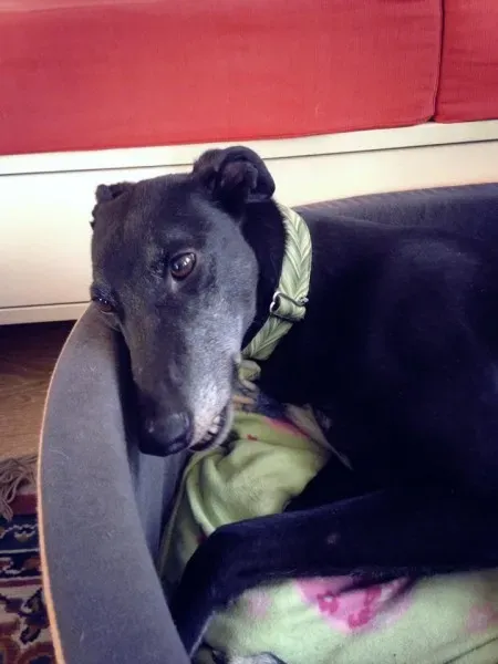 10702022 862724493745606 8531946849047780510 n