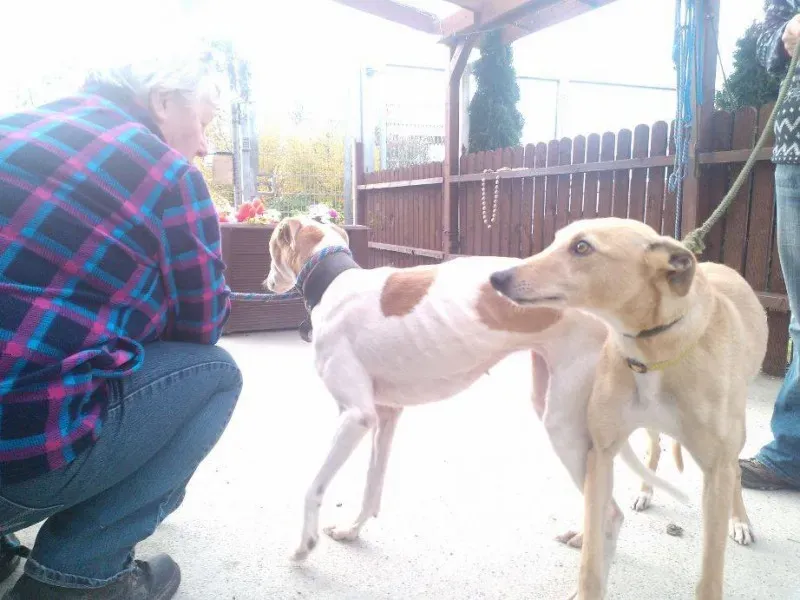 10702078 734752723275252 7954290169792612027 n