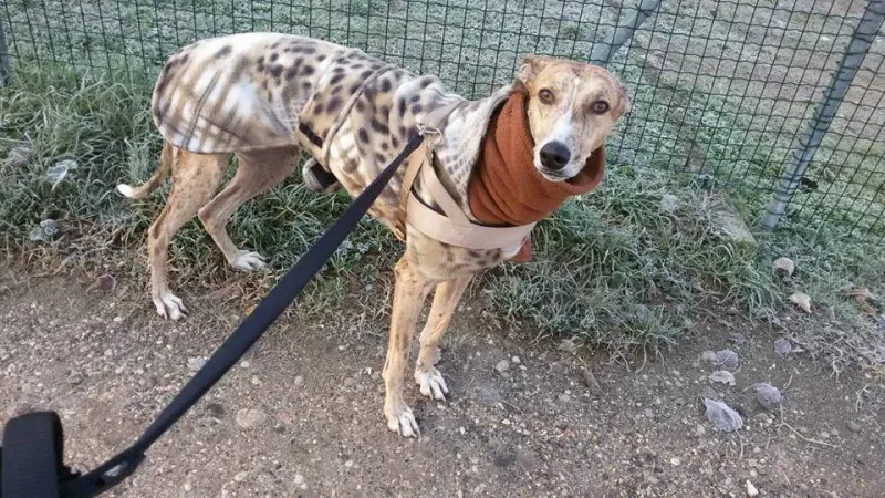 10703633 209484249412336 6008483556743135163 n