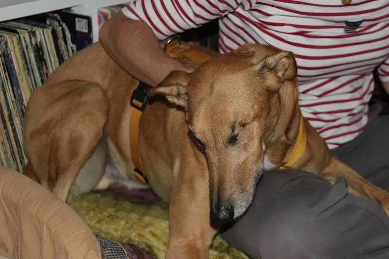 10703865 708082309275627 5444134741305146445 n