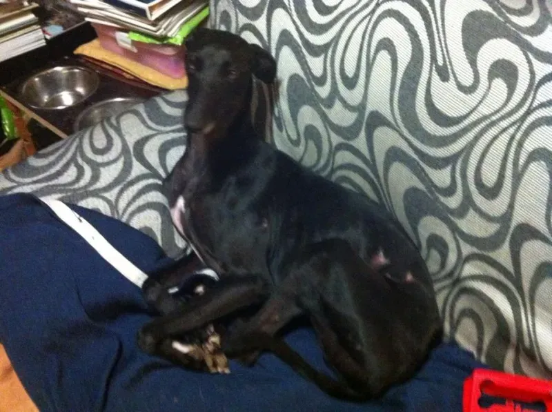 10703930 10202937617188033 3790362657079236700 n