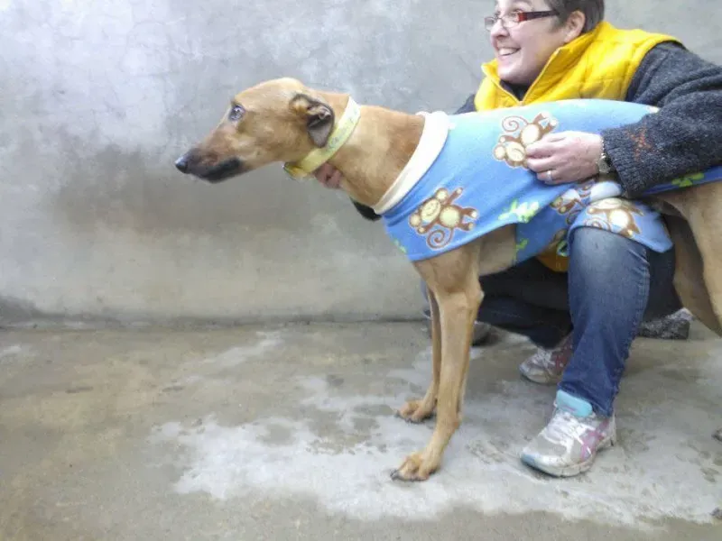 10704023 735161333234391 2205792720842740543 n