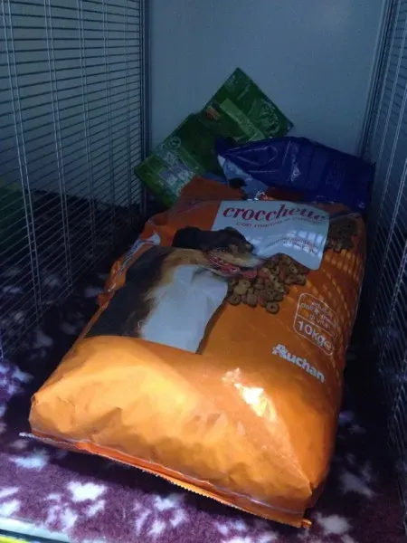 10704804 855938354424220 1536958793 n