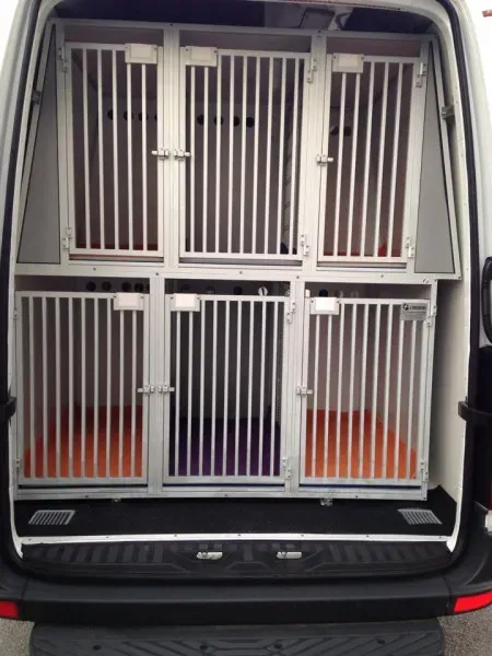 10704880 853528474665208 1556626512 n