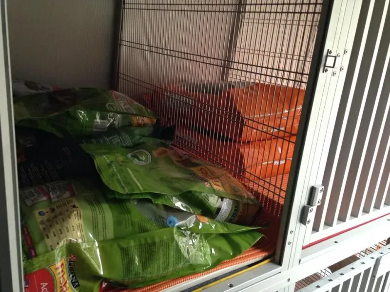 10704890 853528627998526 670891567 n