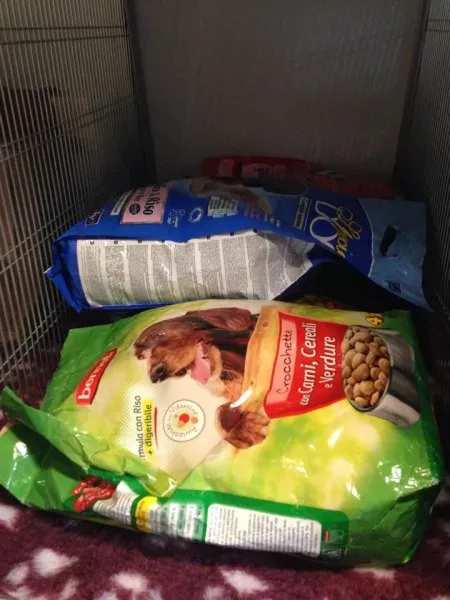 10705042 855938337757555 133845772 n