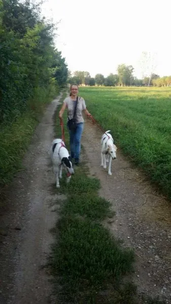 10707470 803516489668734 1956067084 o