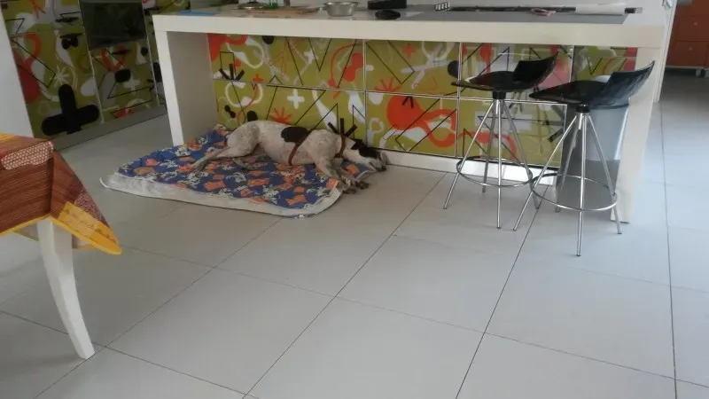 10709779 801561443197572 615453692 o