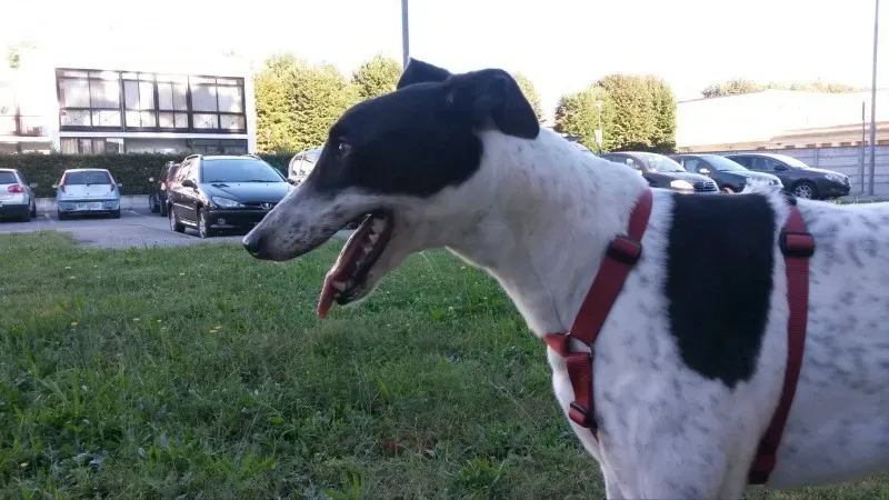 10709806 802501339770249 147332491 o