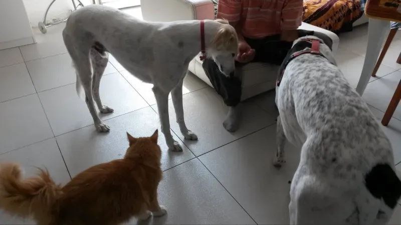 10709971 803490116338038 1653089637 o