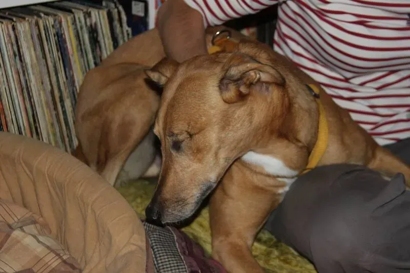 10711113 708082392608952 3098493193737616570 n