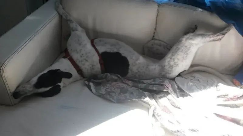 10711941 802577799762603 957534717 o