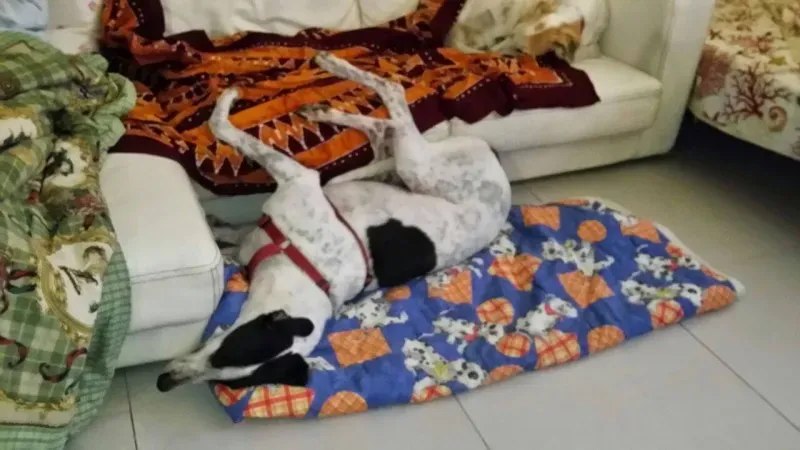 10712040 803515703002146 292893981 o