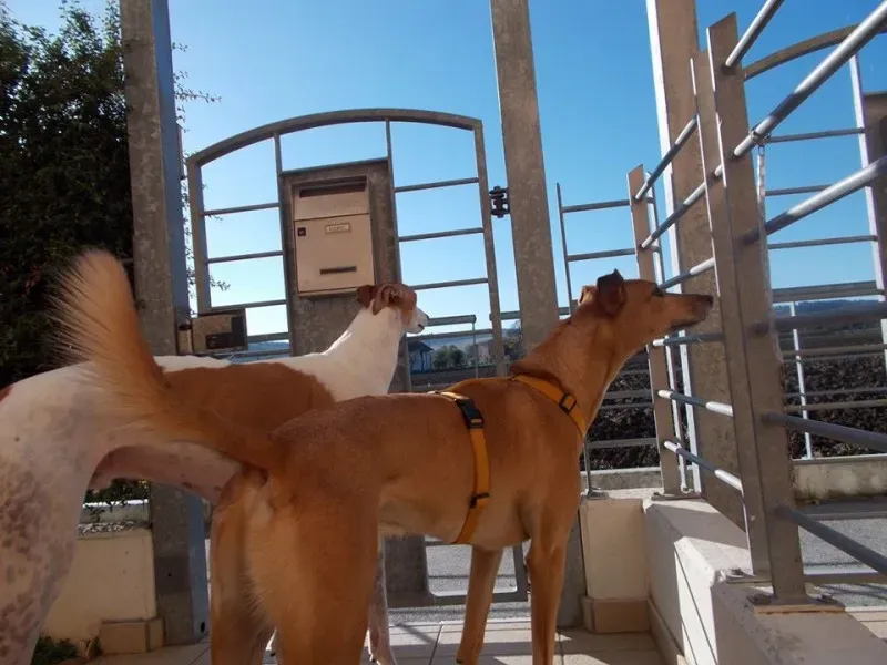 10712515 10204378464894485 3475606138037938909 o