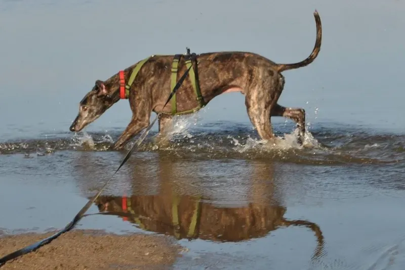 10712682 753952214671015 6540511534492698799 o