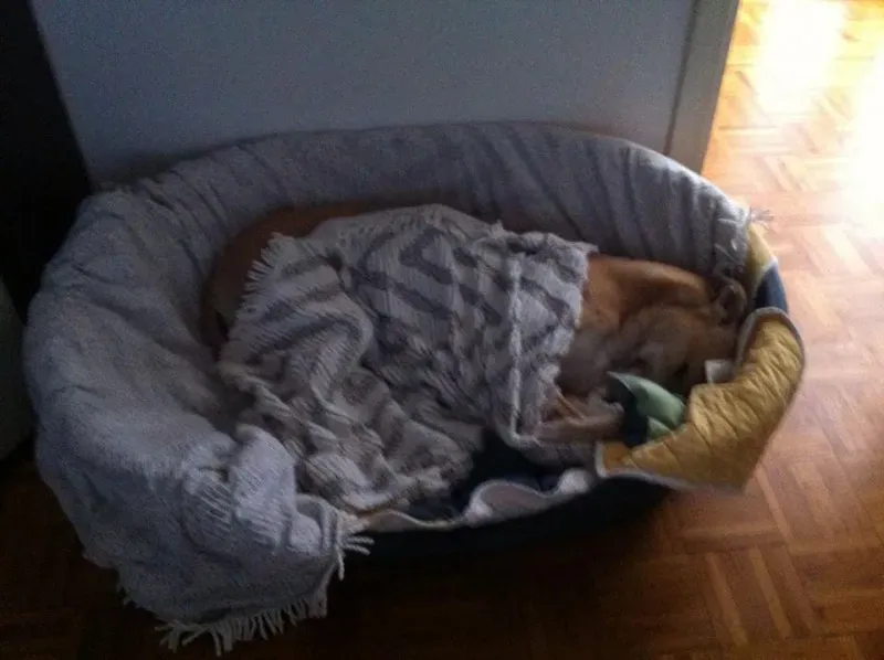 10712709 360234877466565 2176880757062331579 n