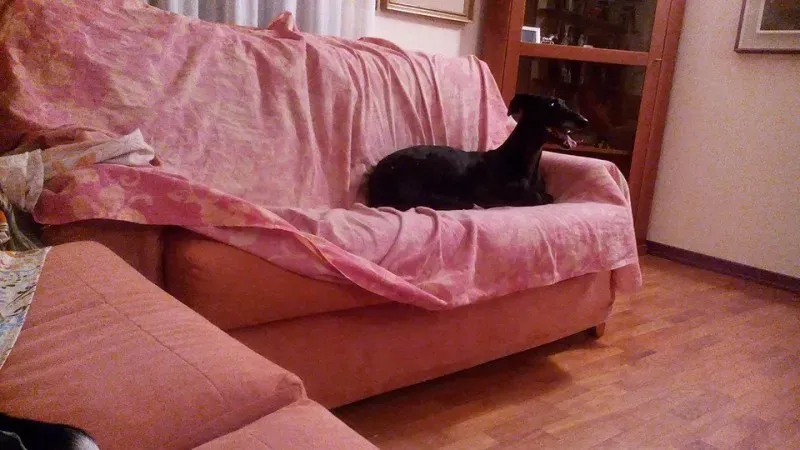 10712728 304209453118877 355892340297711748 n