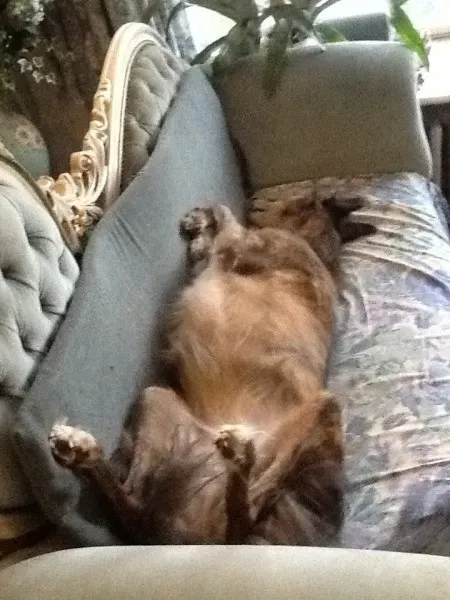 10712905 1517983738458464 3719716094995519020 n