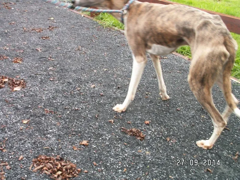 10714020 10152482688078031 834410561596687298 o