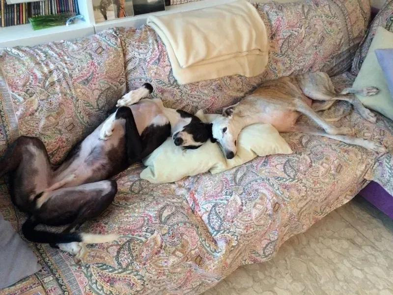 10714125 621136924679387 6181666175828181757 o