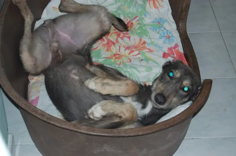 10714258 10205065142738534 4741887680812300734 o