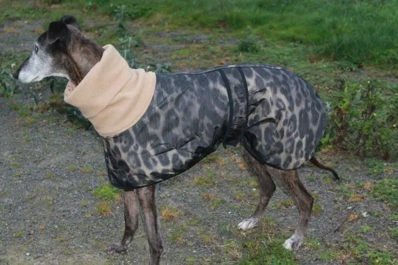 10714307 10152314457650194 7723313811389820838 o