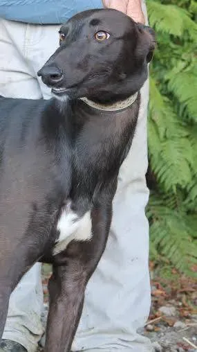 10719055 10152262918820194 1927614639 n