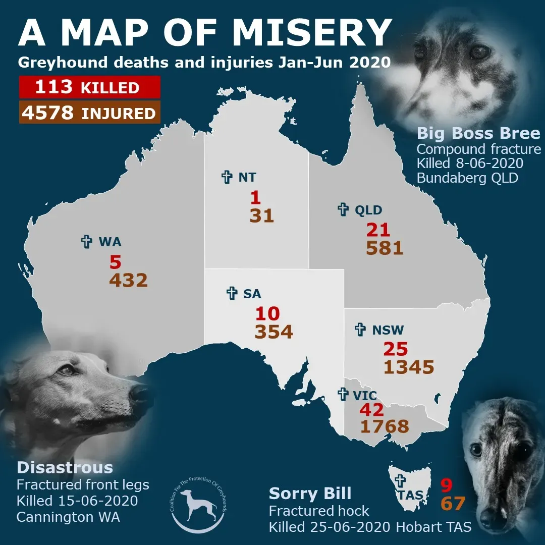 107215134 2340465696260415 5918275495318523550 o