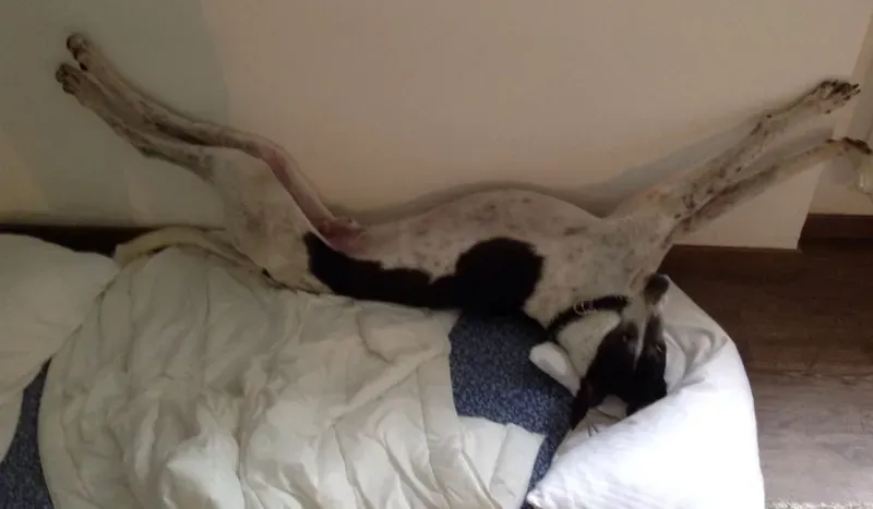 1072302 10202735890471218 1501872362 o