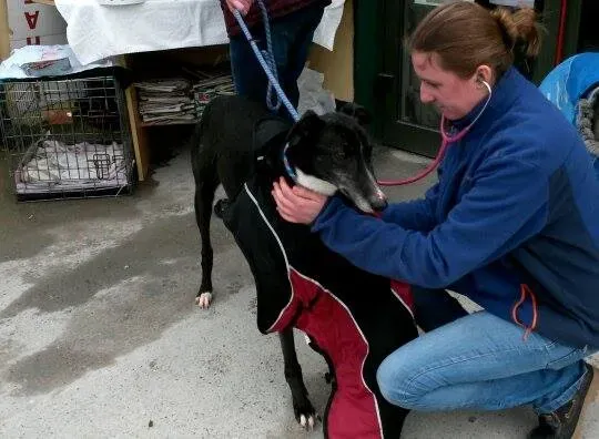 10726488 10204803725790797 752490600 n