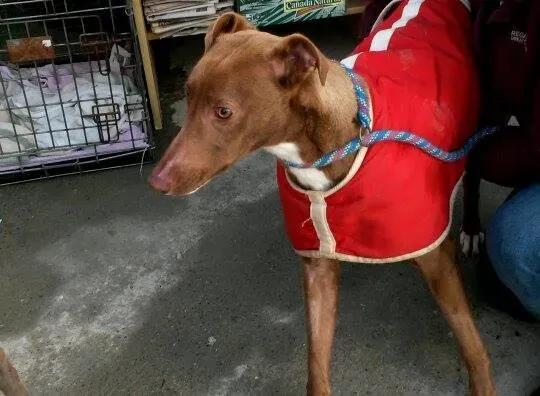 10728664 10204803681629693 254155803 n